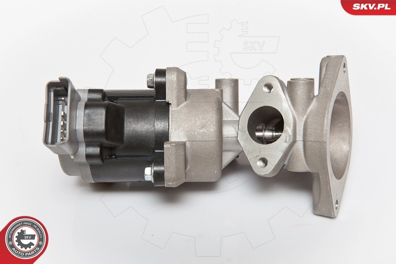 EGR Valve